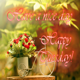 Have a nice day! Happy Tuesday! New ecard. Have a nice day. Tuesday postcard. Have a happy Tuesday. Beautiful flowers on the Tuesday postcard. Tuesday wishes. Free Download 2024 greeting card