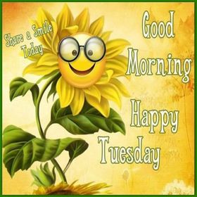 Happy Tuesday!!! New ecard for free. Tuesday. Good morning. Happy tuesday. Share a smile today! Free Download 2025 greeting card