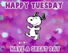 Happy Tuesday and a cute dog. Ecard for you. Tuesday ecards. Happy Tuesday and gave a great day. Tuesday funny dog. Have a happy Tuesday wishes. Free Download 2025 greeting card