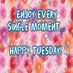 Happy Tuesday card for girls. Tuesday. Enjoy every single moment. Have a Happy Tuesday. Tuesday postcard for friends and family. Free Download 2025 greeting card