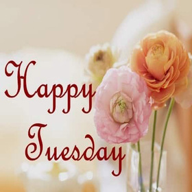 Beautiful Tuesday. New ecard. Happy Tuesday wishes. Happy Tuesday. Pions. Beautiful Tuesday flowers. Tuesday postcard for girls. Free Download 2025 greeting card