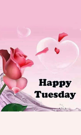 Happy Tuesday and a beautiful rose. New ecard. Tuesday rose. Rose tone. Tuesday wishes. Have a wonderful Tuesday and the rest of the week. Happy Tuesday. Free Download 2025 greeting card