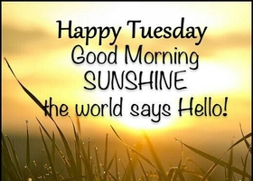 Happy Tuesday! New ecard for free. Tuesday morning. Happy Tuesday. Good morning sunshine the world says Hello! Free Download 2025 greeting card