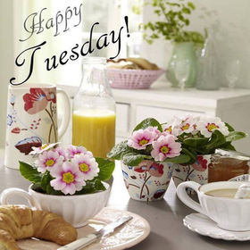 Cozy Tuesday. New ecard. Happy Tuesday. Juice. Flowers. Croissant. Cozy Tuesday. Have a Happy Tuesday. Free Download 2025 greeting card