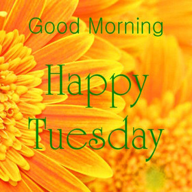 Happy Tuesday Morning! New ecard for free. Happy Tuesday. Sunflower. Happy Tuesday morning. Have a nice rest of a week. Free Download 2024 greeting card