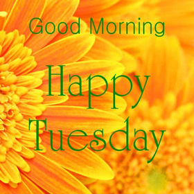 Happy Tuesday Morning! New ecard for free. Happy Tuesday. Sunflower. Happy Tuesday morning. Have a nice rest of a week. Free Download 2025 greeting card