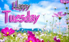 Happy Tuesday and a flower field. New ecard. Tuesday. Flower field. Pink flowers for Tuesday. Happy Tuesday. Have a nica Tuesday. Free Download 2025 greeting card