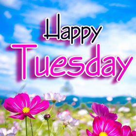 Happy Colourful Tuesday. New ecard. Tuesday Flowers. Happy Tuesday. Let all troubles and adversities always bypass you. Have a nice day. Free Download 2024 greeting card
