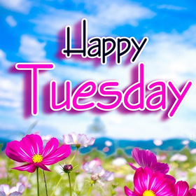 Happy Colourful Tuesday. New ecard. Tuesday Flowers. Happy Tuesday. Let all troubles and adversities always bypass you. Have a nice day. Free Download 2025 greeting card