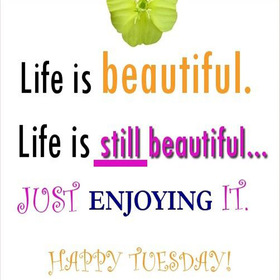 Tuesday quotes. New ecard. Life if still beautiful. Just enjoying it. Happe tuesday. Tuesday wishes for frienda and family. Free Download 2025 greeting card