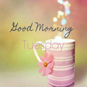 Good Morning Tuesday. New ecard. Tuesday. Good Morning. Pink cup. Have a nice Tuesday and the rest of the week. Wishes for Tuesday. Free Download 2025 greeting card