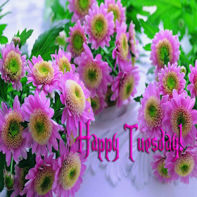 Happy Tuesday with pink flowers. New ecard. Hello tuesday. Smile & be happy and let that happiness spread everywhere you go. Life is beautiful. Good Morning. Tuesday. Free Download 2024 greeting card
