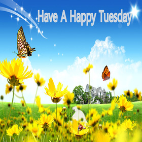 Have A Happy Tuesday! New ecard. Tuesday morning. Have a happy tuesday. Yellow field and butterflies. Blue sky. Have a happy tuesday wishes and postcards. Free Download 2025 greeting card