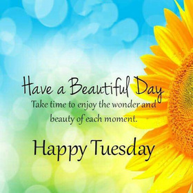 Tuesday wishes for friends. New ecard. Have a Beautiful Day. Take time to enjoy the wonderful and beauty of each moment. Free Download 2024 greeting card