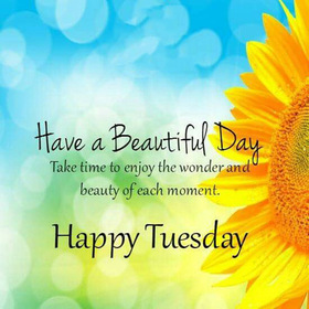 Tuesday wishes for friends. New ecard. Have a Beautiful Day. Take time to enjoy the wonderful and beauty of each moment. Free Download 2025 greeting card