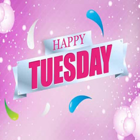 It's Tuesday. New ecard. Tuesday vibes. Happy Tuesday card. Have a nice Tuesday wishes.. Free Download 2024 greeting card