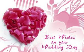Best wishes on your wedding day. Greeting card. May you lead a happy life. May all your dreams come true. Free Download 2024 greeting card