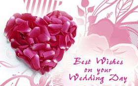 Best wishes on your wedding day. Greeting card. May you lead a happy life. May all your dreams come true. Free Download 2025 greeting card