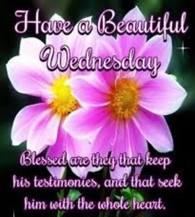 Good Wednesday's wish for grandpa. Have a Beautiful Wednesday. Blessed are they that keep his testimonies, and that seek him with whole heart! Free Download 2024 greeting card