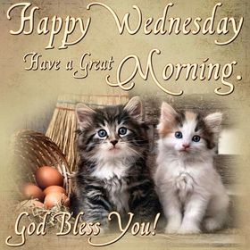 Happy Wednesday. Cute Cats. Happy Wednesday... Have a Great Morning... ;) God Bless You! Free Download 2022 greeting card
