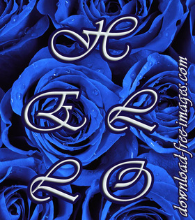 Hello ecard for You. Beautiful dark blue roses.  Super ecard for her, woman and girl. Nice Hello ecard. Free Download 2024 greeting card