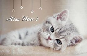 Miss You! Ecard for You. Kitten was sad, becouse he is missing you! Free Download 2024 greeting card