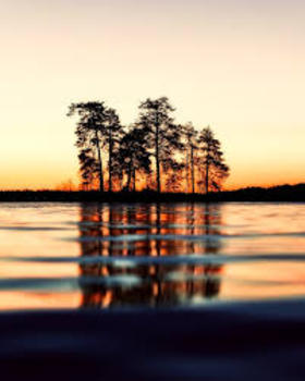 Reflection of trees in water. Nature photo-card. Free postcard. Peaceful nature. Heavenly place. Recreation. Calm down. Reflection of trees. Lake. Free Download 2024 greeting card