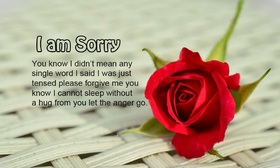 I'm sorry, my love! This red rose for you. You know I did not mean any single word I said I was just tensed please forgive me you know I cannot sleep without a hug from you let the anger go. Free Download 2024 greeting card