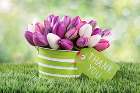 Thanks flowers for you. Words cant describe how thankful I am! What would I do without you? Free Download 2024 greeting card