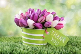 Thanks flowers for you. Words cant describe how thankful I am! What would I do without you? Free Download 2025 greeting card