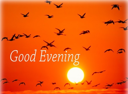 Good Evening Beautiful Pic Nature Ecard The Best Greeting Card For You