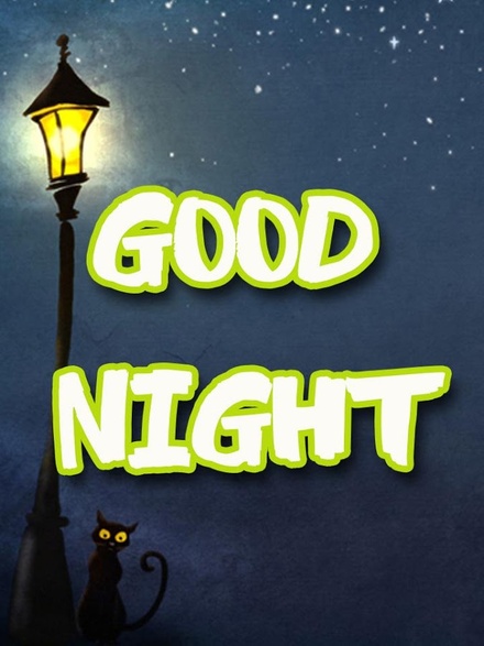 Good Night. Black cat. The best greeting card for You.