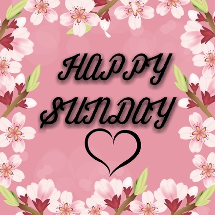 Happy Sunday On A Rose Background New Ecard The Best Greeting