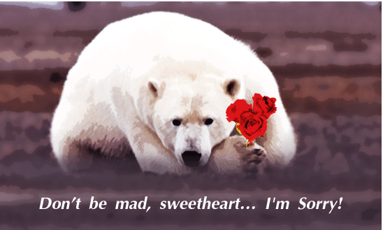 Card with apology. Polar bear with flowers. Ecard. Download cute cards. Card with a polar bear. Polar bear with flowers. Free Download 2024 greeting card