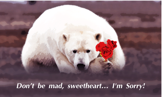 Card with apology. Polar bear with flowers. Ecard. Download cute cards. Card with a polar bear. Polar bear with flowers. Free Download 2025 greeting card