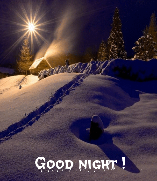 Good Night! Animation. Winter. Snow yard. Good Night... wishes... sweet Dream... Christmas trees. Snows fall a hundred feet deep. Free Download 2022 greeting card