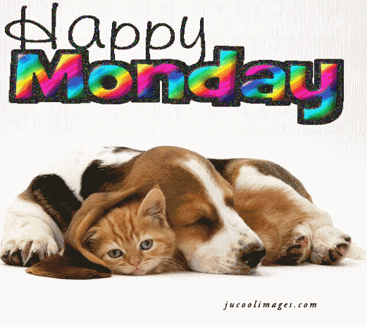 Happy Monday postcard with a dog and a cat. Ecard. is a great day. A cute postcard with a dog and a cat. Funny pets. Happy Monday! Happy Monday for friends and family. Free Download 2024 greeting card