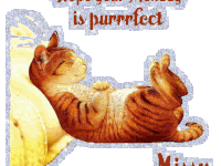 Monday is perfect. Ecard. Monday. Perfect Monday. Sleeping cat gif. Have a happy Monday. Monday cat. Monday gif. Free Download 2024 greeting card