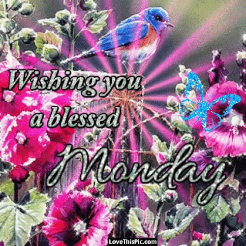 Wishing you a blessed Monday. New ecard for free. A postcard with colorful bird, flowers and butterfly.. Postcard with Mondays. Monday gif. Wishing you a blessed Monday. Bird, flowers, butterfly. Free Download 2023 greeting card