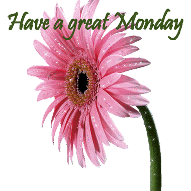 Have a great Monday. New ecard for free. Have a great Monday gif. Rose camomile. Beautiful flower with shimmer and glossing. Rose flower. Monday. Free Download 2023 greeting card
