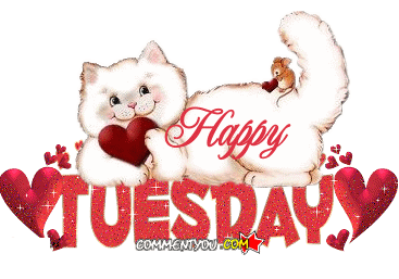 Happy Tuesday and white cat. Gif ecard. Tuesday cat. Happy Tuesday my honey, sweetie, dear, darling, baby. Happy Tuesday for her. Free Download 2024 greeting card