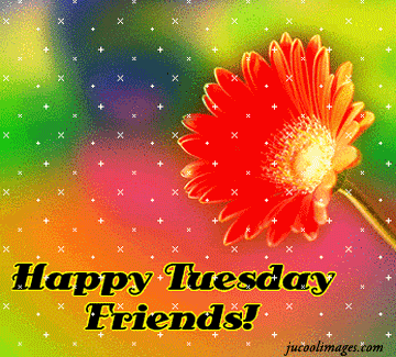 Happy Tuesday Friends gif. Happy Tuesday. Tuesday pic for friends. Today I wish you a day filled with love and happyness. Free Download 2023 greeting card