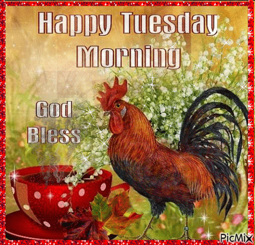 Happy Tuesday Morning. God Bless. Gif ecard. A cock and a cup of tea. Happy Tuesday Morning. Tuesday wishes. God bless. Tuesday Morning. Have a happy Tuesday wishes. Free Download 2024 greeting card