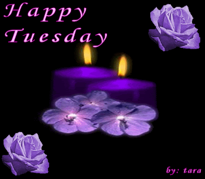 Happy Tuesday and candles. Ecard. Tuesday candles. Violet roses. Have a happy Tuesday. Happy Tuesday cards for her. Tuesday wishes. Have a great rest of the week. Free Download 2023 greeting card