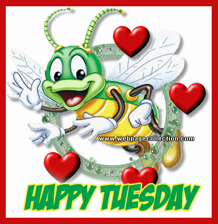 Happy Tuesday pic for a child. Gif ecard. Funny Tuesday gif. Tuesday wishes for a child. Happy Tuesday. Have a good mood today, tomorrow and always. Tuesday. Free Download 2024 greeting card