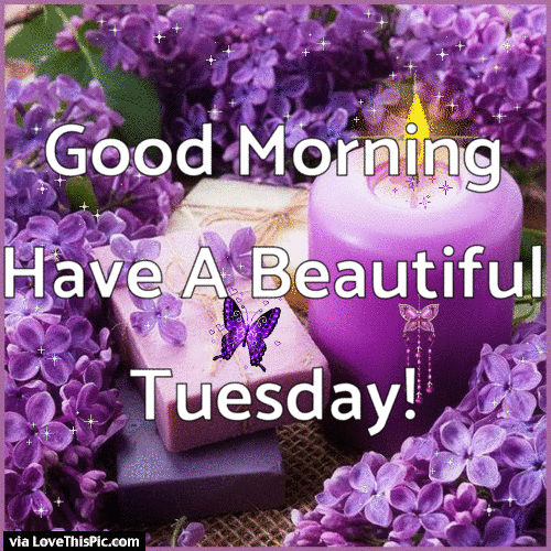 Happy Tuesday card. Gif ecard. Tuesday wishes. Good day. ish you a Happy Tuesday and a Very Good Morning! Free Download 2024 greeting card