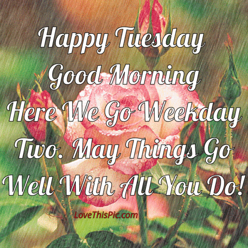 Have a happy Tuesday. Gif ecard. Happy Tuesday. Good Morning. Here we go weekday two. May things go well all you do! Free Download 2022 greeting card