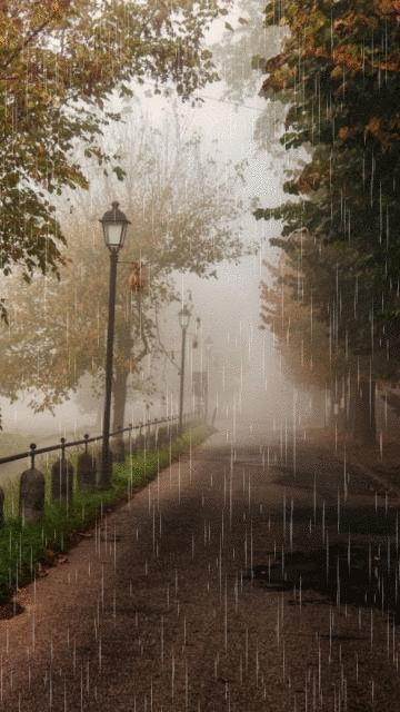 Rainy weather. Nature gif card. Rain in the city. Sidewalk. Lamp. Fence. animated card with fog and rain. Free Download 2024 greeting card