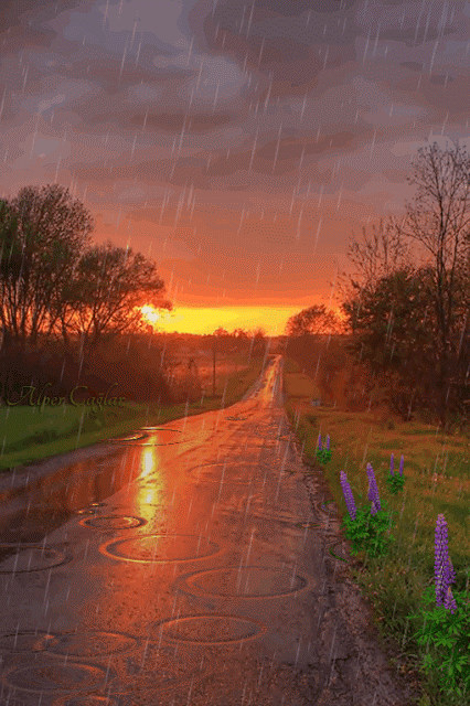 Road to the sunset. Nature gif card. Postcard with sunset. nature. Road to the sunset. Rain. Warm rainy weather. Beautiful sky. Free Download 2024 greeting card