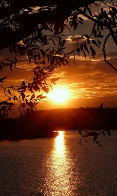 Sunbeams on the water. Nature gif ecard. Beautiful sunset. A romantic atmosphere. Pleasant atmosphere. Nature. Animated photo. Free Download 2024 greeting card